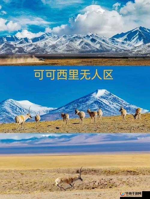 亚洲一卡一卡二新区无人区：探索神秘未知的奇幻之地