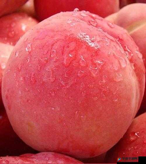 无一二三四蜜桃：甜蜜多汁口感绝佳令人垂涎欲滴的水果