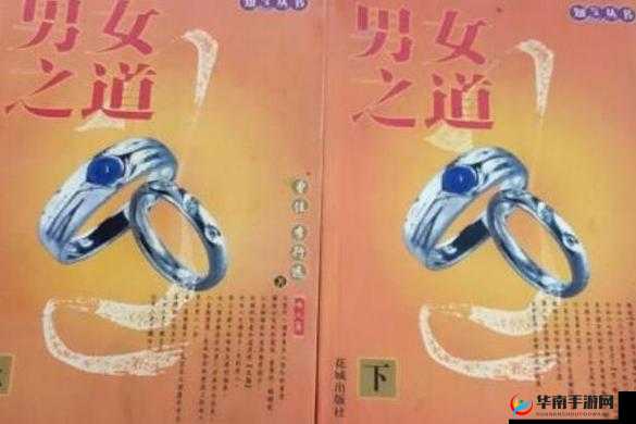 男女上下供 120 秒之独特呈现与解读