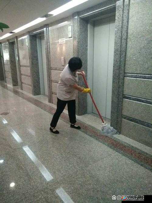 重金雇佣保洁阿姨进入大学：引发的一系列校园思考与启示