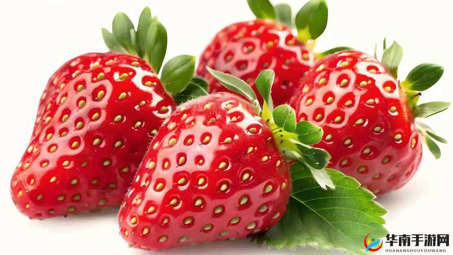 草莓视频在线观看草莓视：精彩内容随时等您来发现