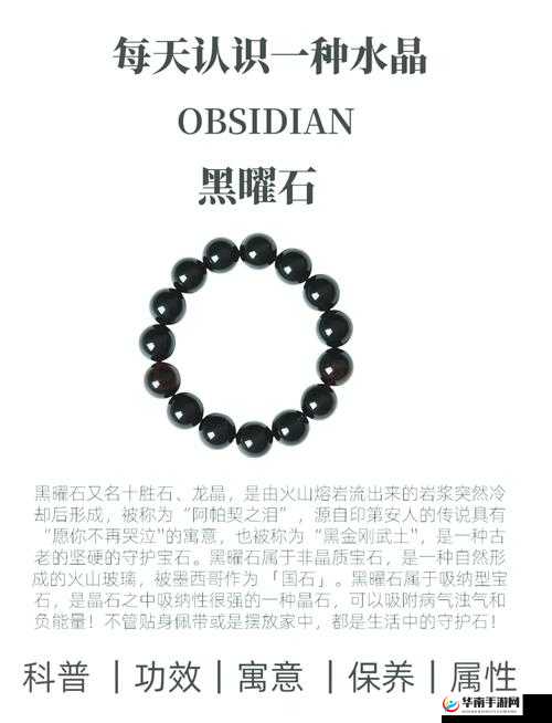 yw193 龙物：神秘且引人瞩目的独特存在探秘