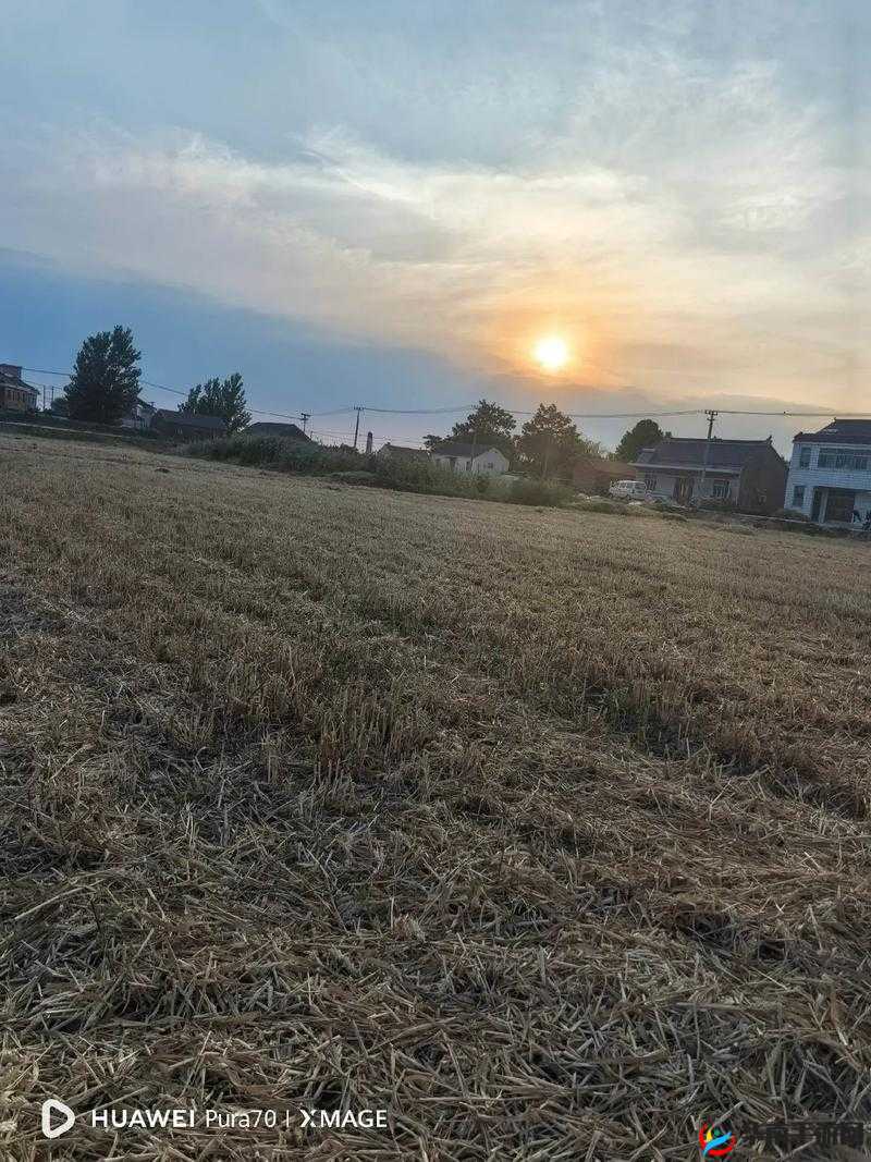 耕种母亲肥沃的土地：追忆往昔岁月中的田园时光