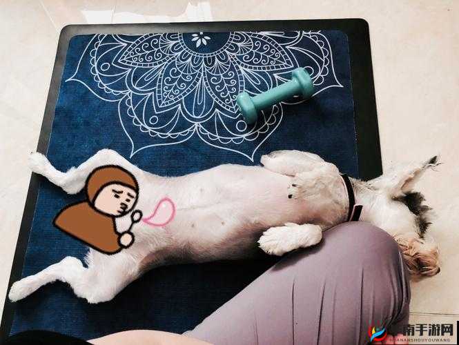 人与鲁 ZZZZZZXXXXⅩ：关于其的深入探讨与分析