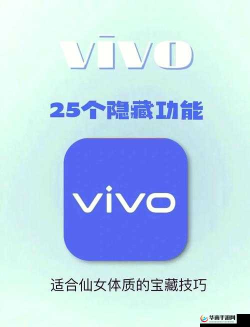 3.0.3 免费 vivo 版破解大全最新资源及使用技巧全揭秘