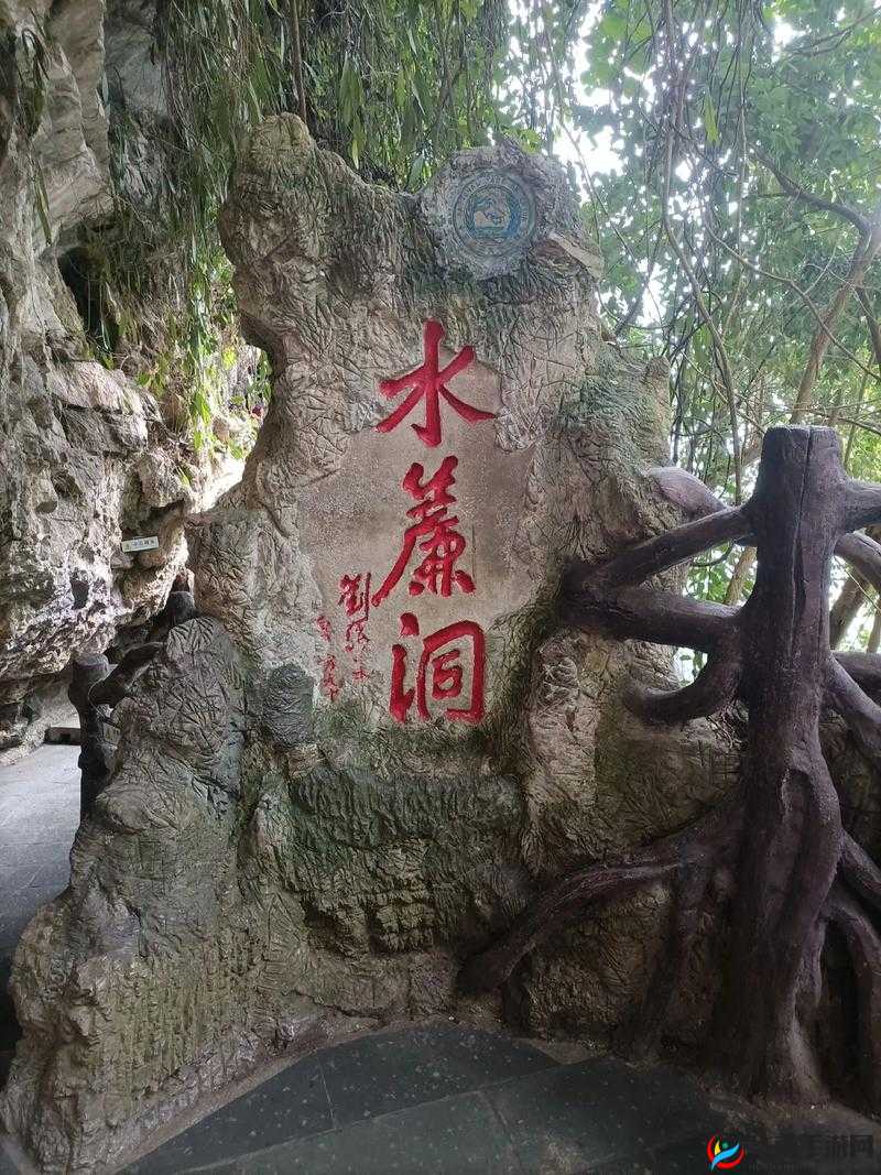 分享 5 个水帘洞维护小贴士，让你轻松维护水帘洞