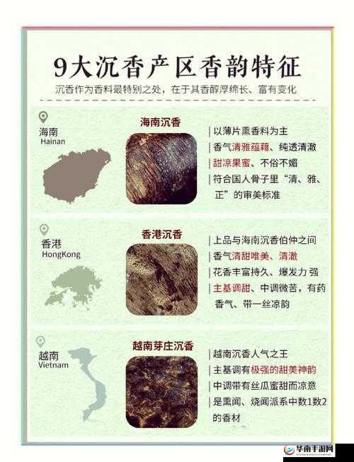 沉香的一线产区:探秘其独特魅力与珍稀价值所在