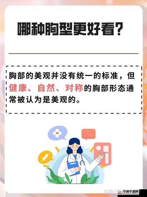 女生小底座的胸好看还是大底座:胸部之美的不同视角探讨