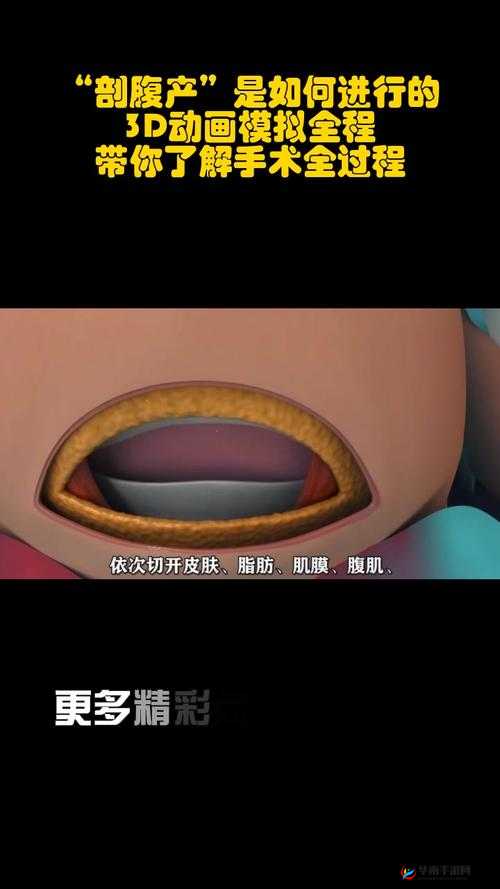 3DNAGOONIMATION_HONKAI 相关精彩动画内容全揭秘