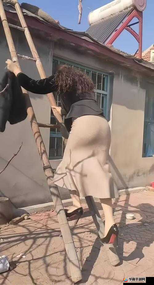 儿媳李茹：与老王儿的别样生活