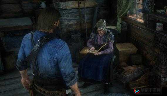 暴躁老阿姨荒野大镖客：在荒野中释放不羁的豪情与热血