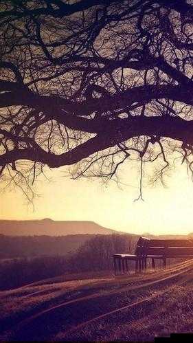 手机看片 1024 欧美:畅享欧美大片精彩之旅