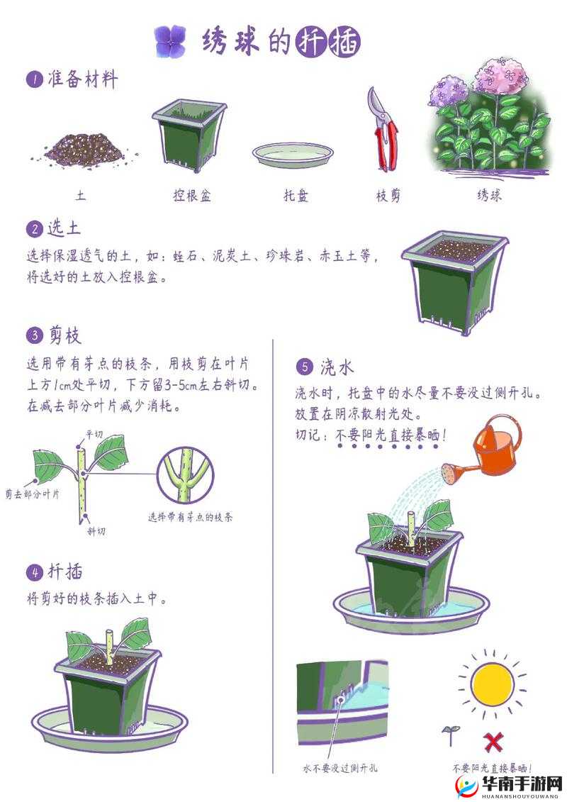 72 种 45 分钟扦插方式嘉善圈：探索植物繁殖的多样奥秘