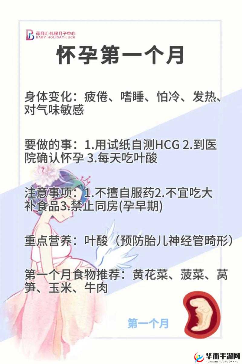 妊娠学院 2.5：探索孕期知识的专业平台