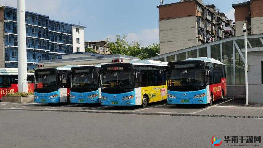 关于 XXXX 性公交列车 XXXXⅩ 的深入研究与探讨分析