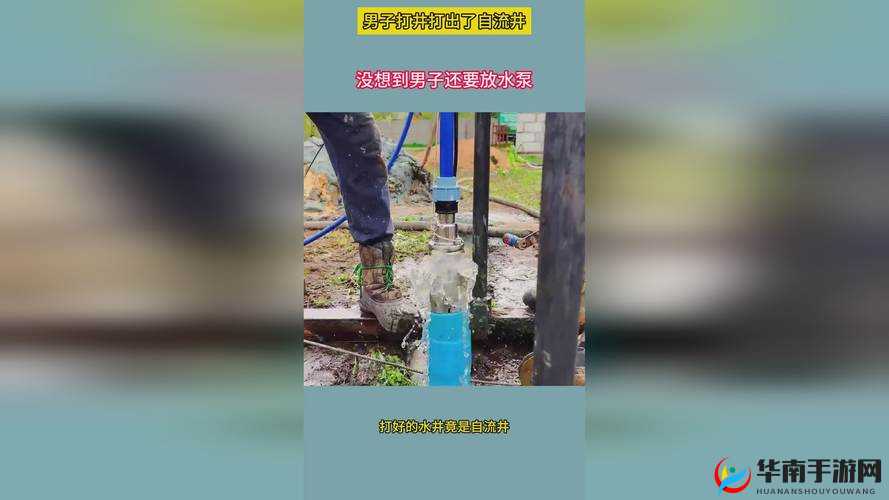 成熟 50-WX 老狼大豆行情掌握流量密码：深入剖析背后的市场趋势