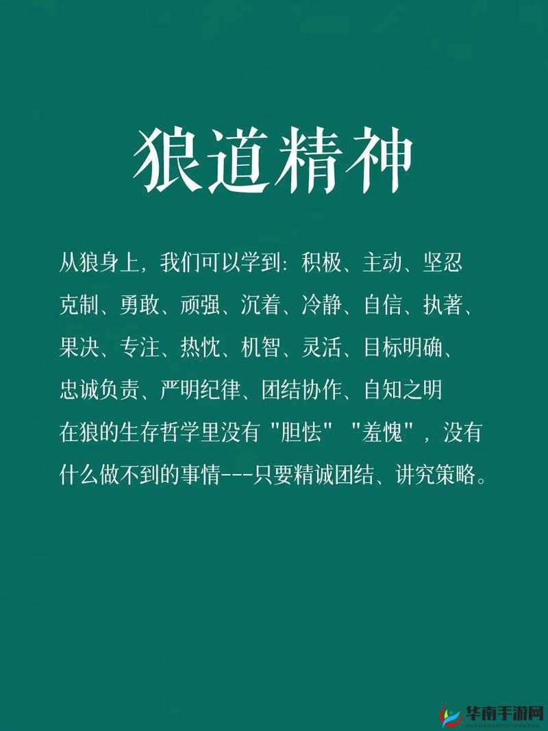 AV 狼激情之 XX 故事：探索狼性背后的激情与欲望