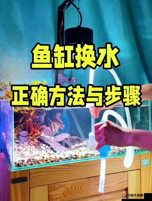 扣水的正确方法视频教程：详细步骤与实用技巧分享