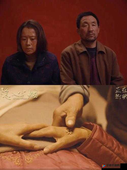 一起观看的纪录片:适合夫妻的深度之选