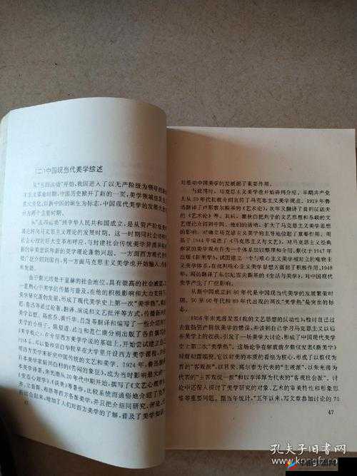 正反两个 B:关于它们的深入探讨与全面分析