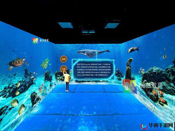 第九元素聊天室：一个充满无限可能与精彩互动的交流空间