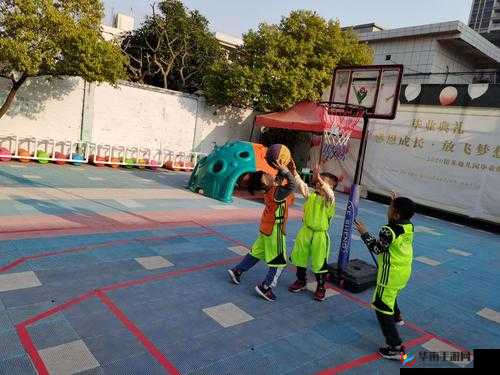 篮球队的公共玩具正伟：一个见证团队成长的独特存在