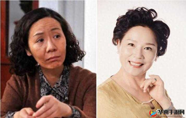 极品老太婆 BBBBBBBBB：其传奇人生与非凡经历