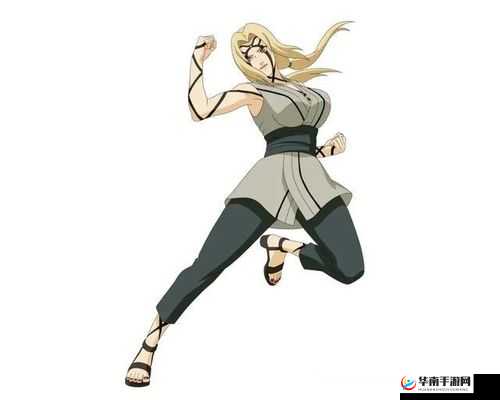 纲手肉丝：关于其特点与相关故事的探讨