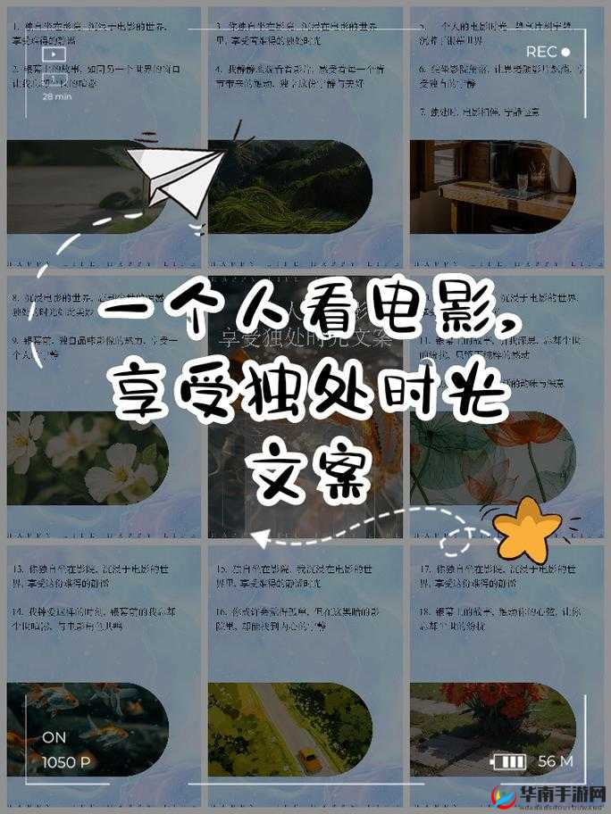 享受完整的观影时光:一场别样的视觉盛宴