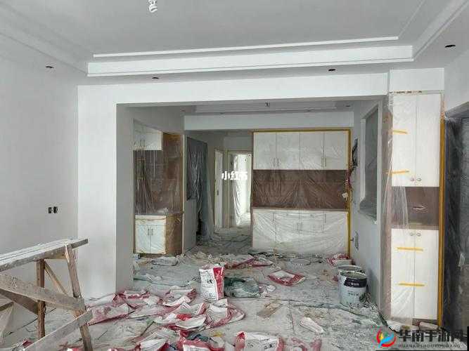 9 个装修工轮：装修工人的故事与奋斗历程