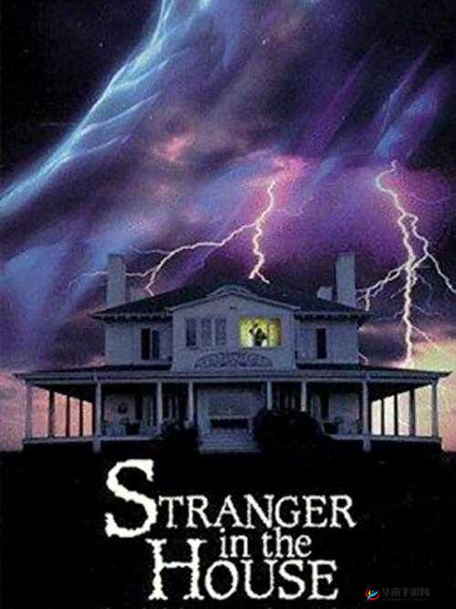 新版金银瓶 1-51996 杨敏的独特故事与传奇经历