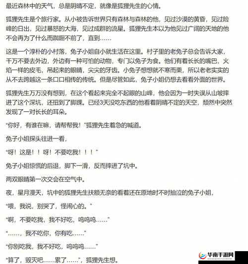 女友妈妈 8 的那些温馨故事与日常点滴