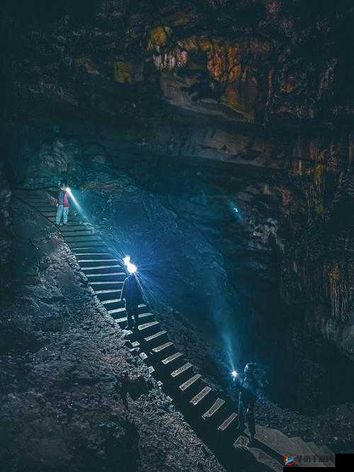 最新 ESSUESS 在线步兵区：探索未知的世界