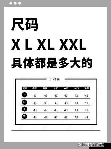 亚洲一码和欧洲二码的尺码区别-深入对比与解析