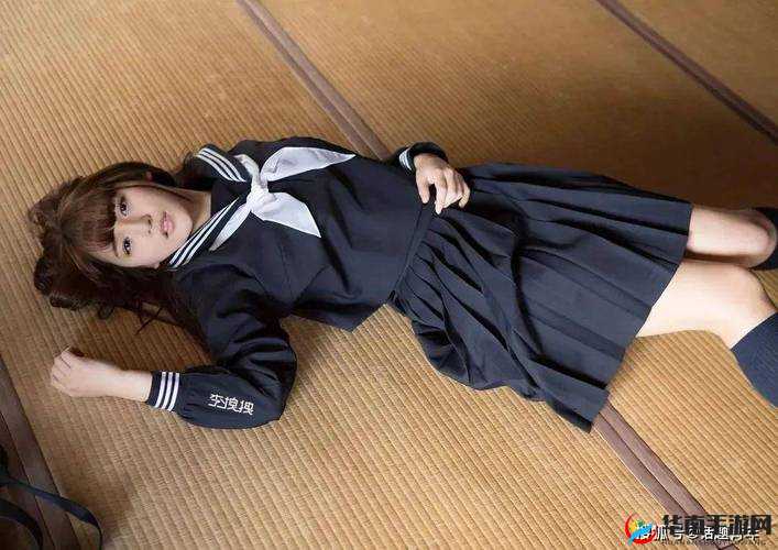 日本艳妓 BBW 高潮一 19：探究日本成人产业的独特魅力