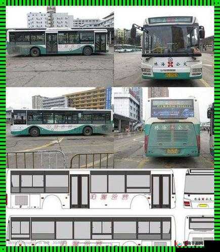 yingdan 小镇公交车尺寸升级：提升出行体验新举措