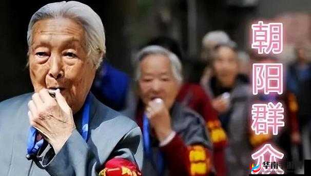 热心朝阳群众 51cgfun 开火车：引发广泛关注与热议的奇特现象