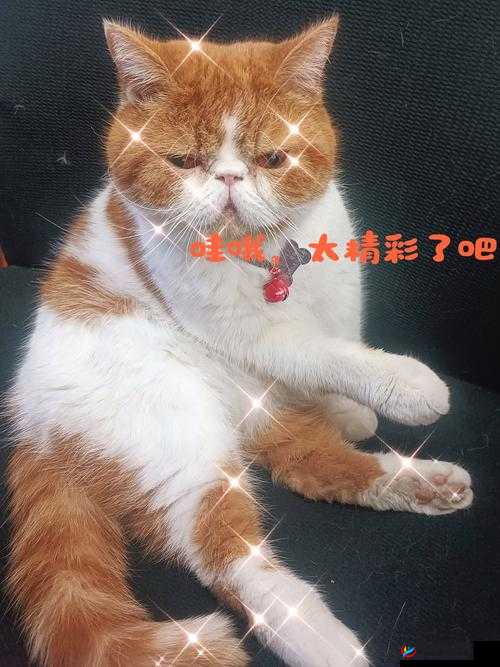 无遮挡120 秒试看 5 次真的太棒啦超精彩不容错过