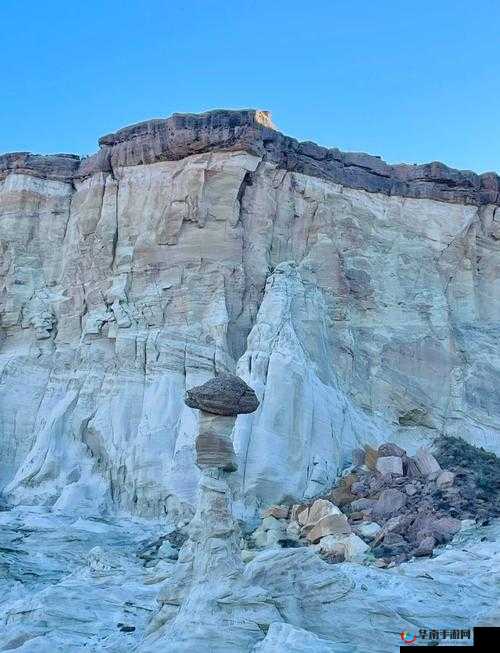 メスのちトラレ :一段充满波折与挑战的神秘之旅