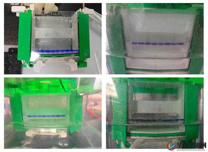 人马胶配方整个过程免费详细解读及实操指南