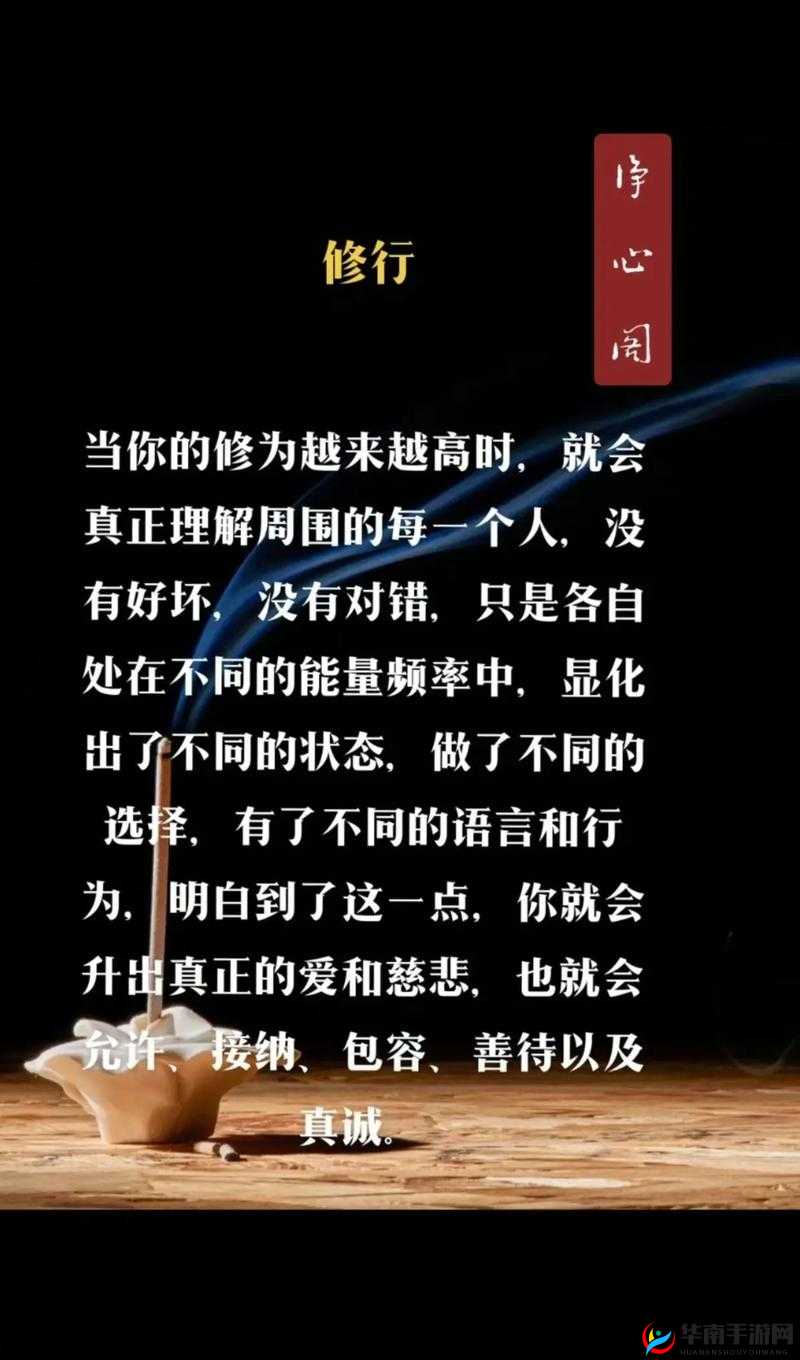 天天综合，做就对了天天做天天综，释放你的无限可能