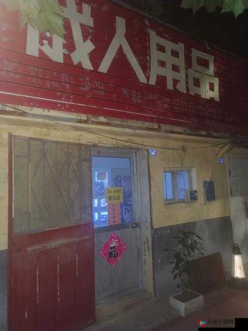 国产口爆：中国特色成人用品的创新与发展