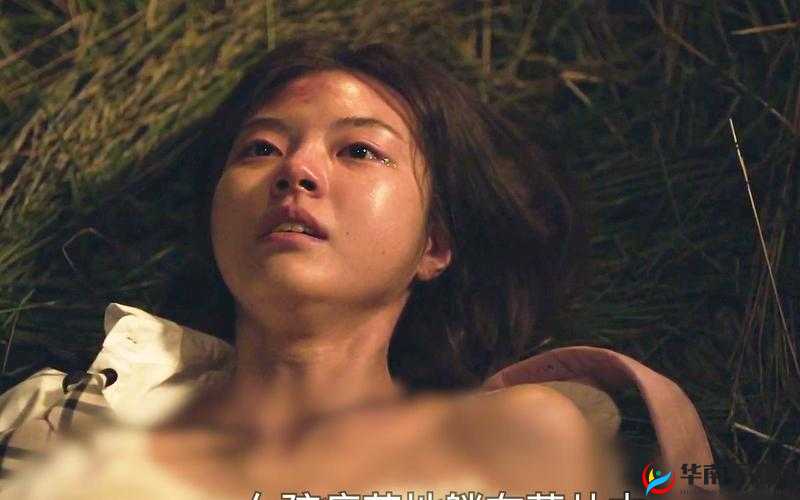 片多多免费观看高清影视韩国：海量精彩影视资源等你来