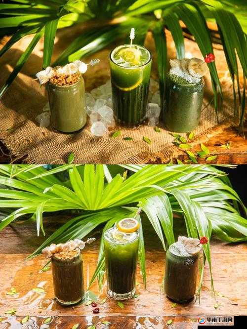 仙踪林 companylimited19 岁免费版:提供绿色健康、快乐休闲的饮品与服务