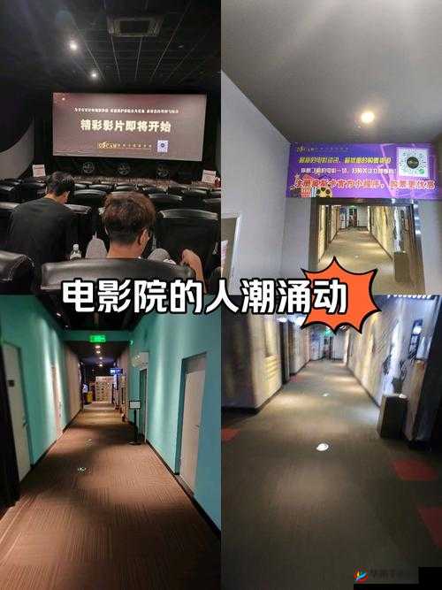 A 天堂最新版在线中文：畅享极致娱乐体验