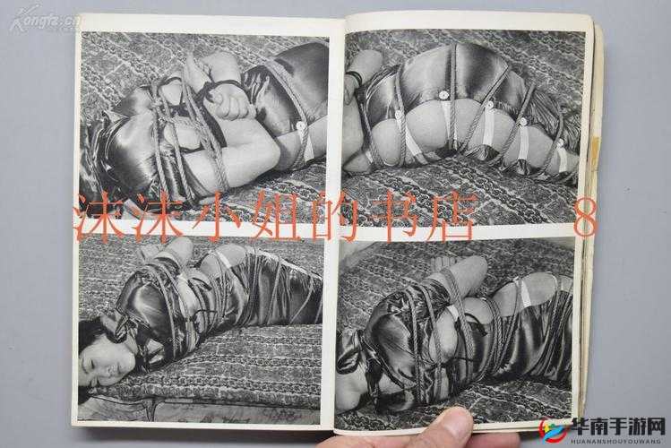 djud120 女体拷问研究所在线视频：深入探究其神秘面纱