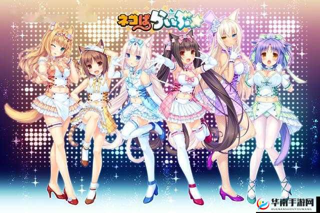 和猫娘拔萝卜游戏：一场充满趣味与惊喜的冒险之旅