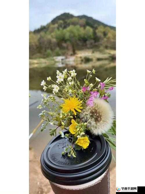 野花韩国视频观看免费高清 8 带来别样精彩视觉盛宴