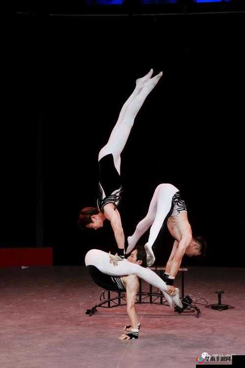 探索性杂技 XXXXX 的独特完整性魅力