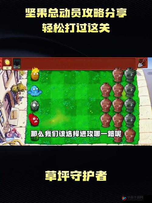 战歌竞技场的魅力与挑战，深度解析与坚果互赠攻略